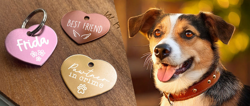 Hundemarken selbst gestalten – Einzigartig, praktisch und persönlich