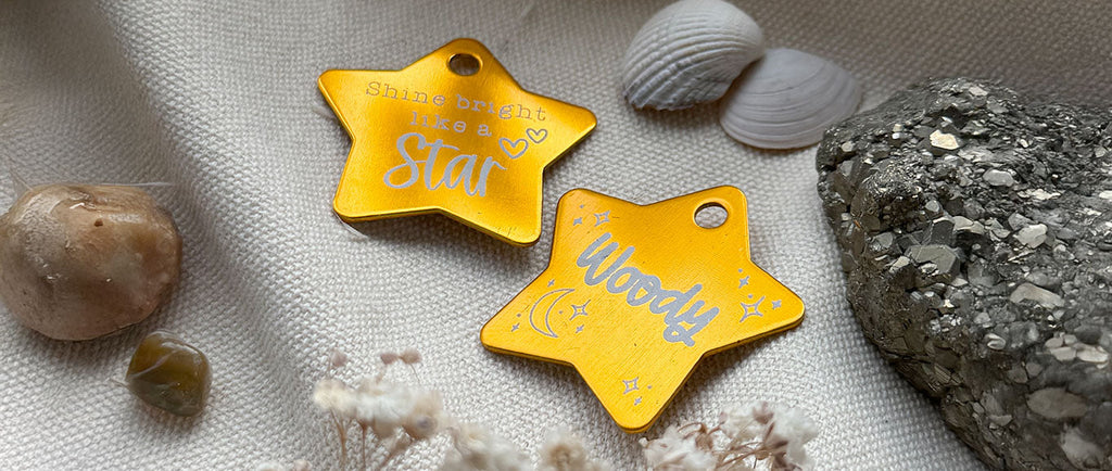 Was, wenn dein Pferd schon alles besitzt?