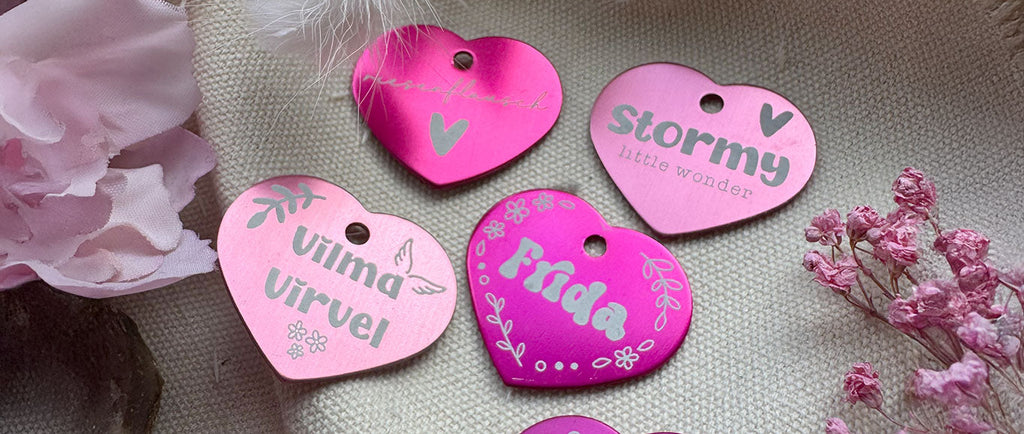 Das perfekte Geschenk für Pferdemädels – Unsere besten Ideen