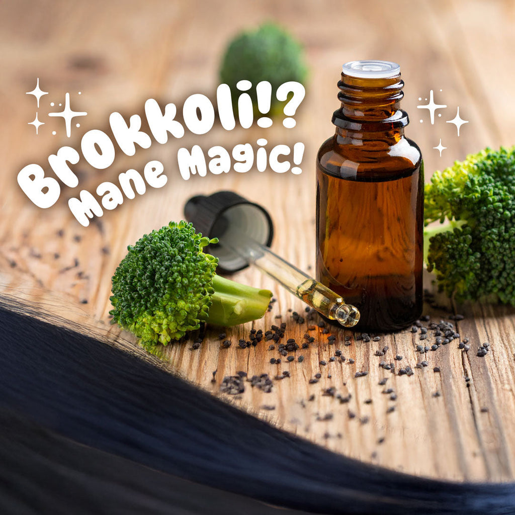 Mane Magic – warum Brokkolisamenöl wahre Magie für Mähne & Schweif ist ✨