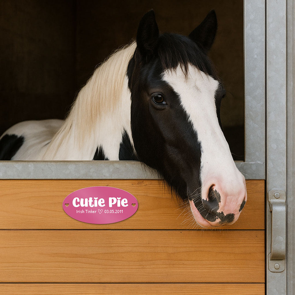Stallgeflüster: Wenn das erste eigene Pferd einzieht…