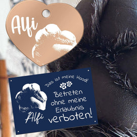 Anleitung: So erstellst du eine Lilla Marke mit echtem Pfotenabdruck