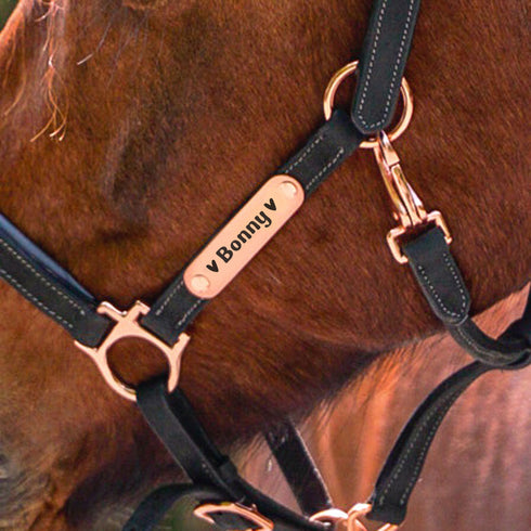 Namens-Plakette Metall groß