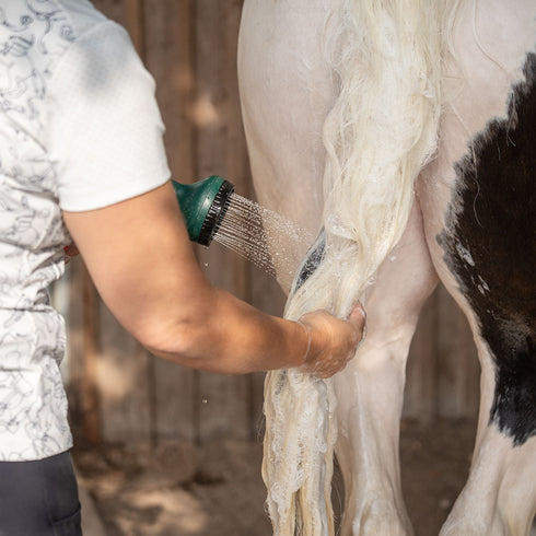 Berry Bubble Bath <br>Pferdeshampoo