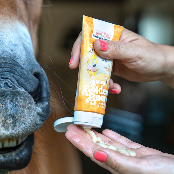 Honey Golden Guard <br>Maulpflege mit Honig