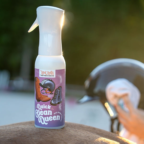 Quick Clean Queen <br>Kunststoff & Lederreiniger