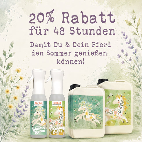 Fliegen Favoriten Bundle